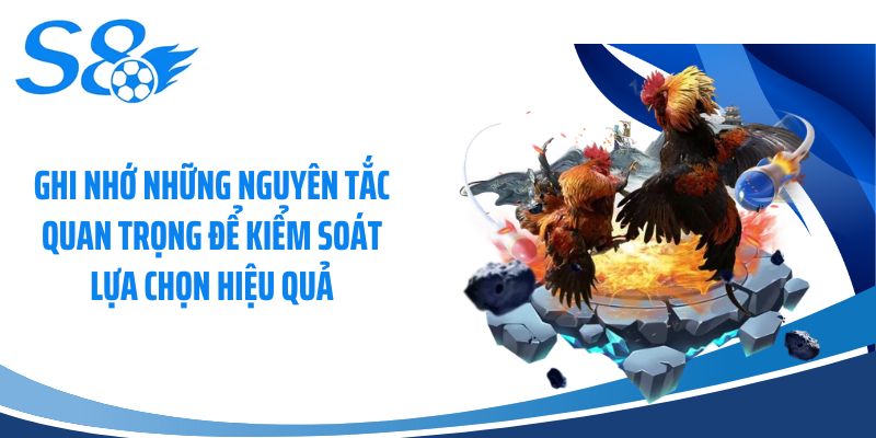 Ghi nhớ những nguyên tắc quan trọng để kiểm soát lựa chọn hiệu quả
