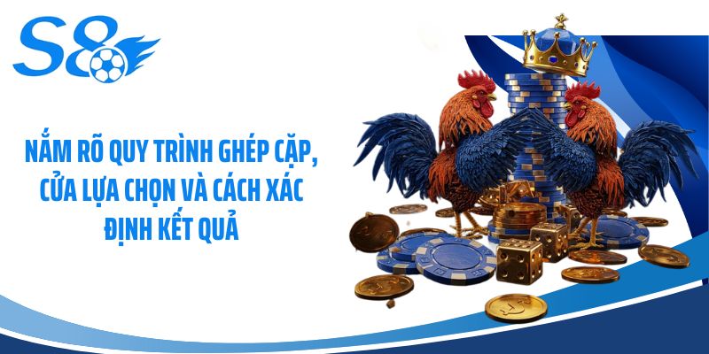Nắm rõ quy trình ghép cặp, cửa lựa chọn và cách xác định kết quả